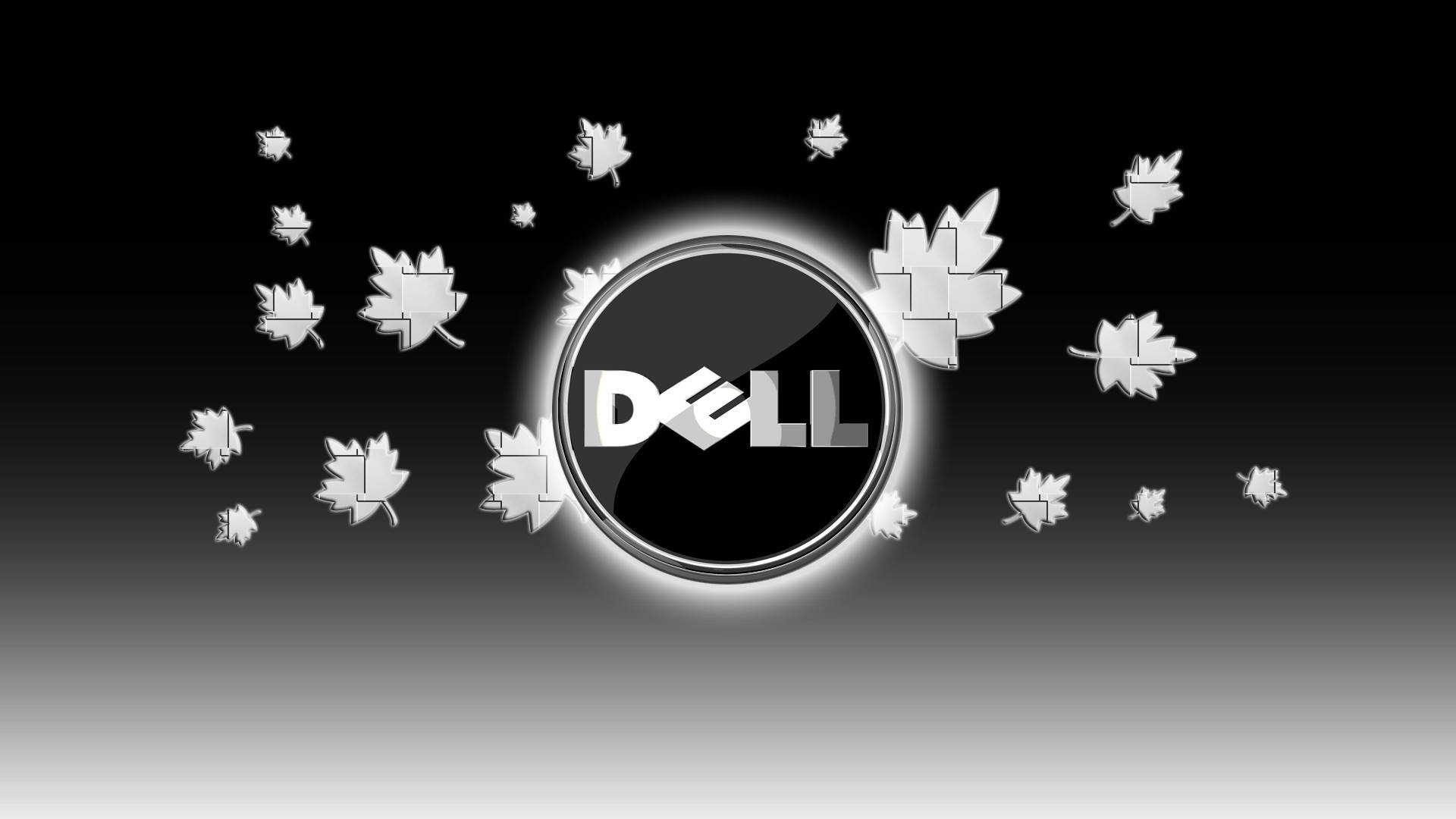 fall leaves and dell hd logo szqm5k4t8t29tc2u